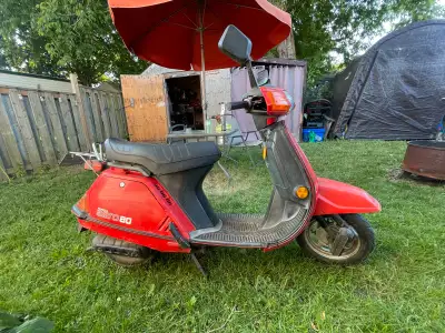 1984 Honda Aero 80: 2 stroke oil injection classic machine! Runs great, always starts right up, new...