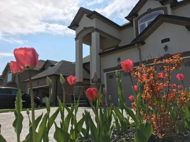 West Mountain Hamilton - Room for Rent