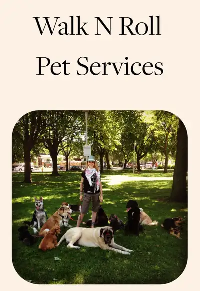 Dog Walking & Pet Servies , View more