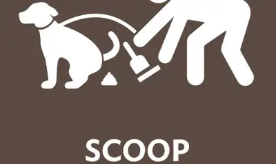 offering to clean up dog poop , View more