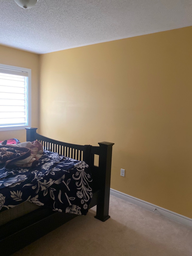 Room for rent Room Rentals & Roommates Mississauga / Peel Region
