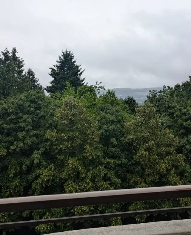 Apartment for  Rent: Prime location to transit, BCIT/SFU