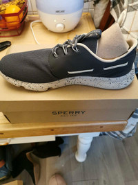 Men's Sperry shoe 