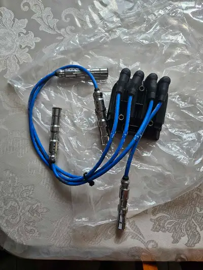 Câbles de bougies d'allumage avec Bobine Module pour Golf / jetta 2008-2010... Ils sont neufs 819 44...