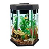 Top Fin® Captivate Starter Kit - Aquarium