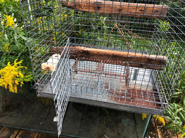 Bird cage in Accessories in Kitchener / Waterloo - Image 4