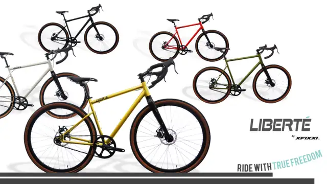 Liberté Belt-Drive All-Terrain Single Speed Bike-FREE SHIPPING in Fixie (Single Speed) in City of Toronto - Image 10