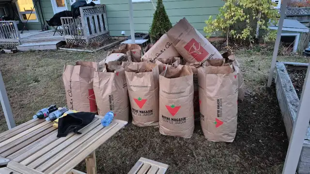 leaf raking / yardwork / painting425646072393912327