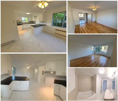 Large renovated 4-bedrooms for rent in Chomedey + 1 parking