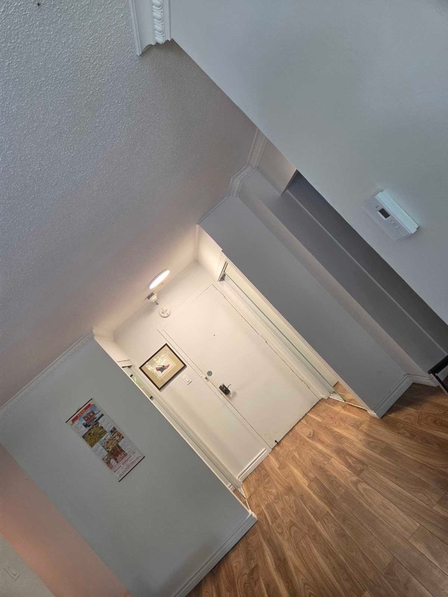 10355 Ave de Bois-de-Boulogne — photo 2