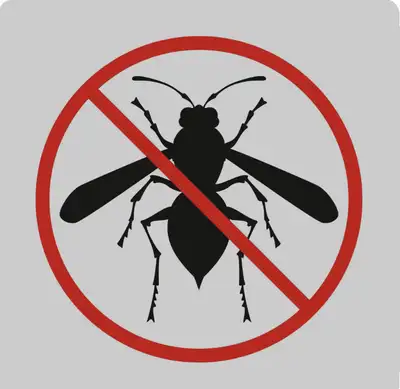 wasp hive removal service ! * save 10% off  removal , View more