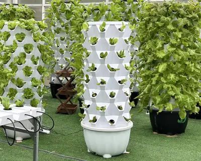 Grow Fresh Herbs & Greens on Your Balcony, View more