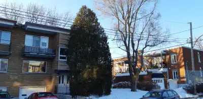 Bel appartement au dernier étage d’un triplex, situé sur une rue tranquille avec arbres matures, à 7...