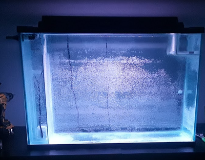 45 gallon aquarium with custom internal sump (Trades accepted) Stuff of interest to me: L46 plecos 2...