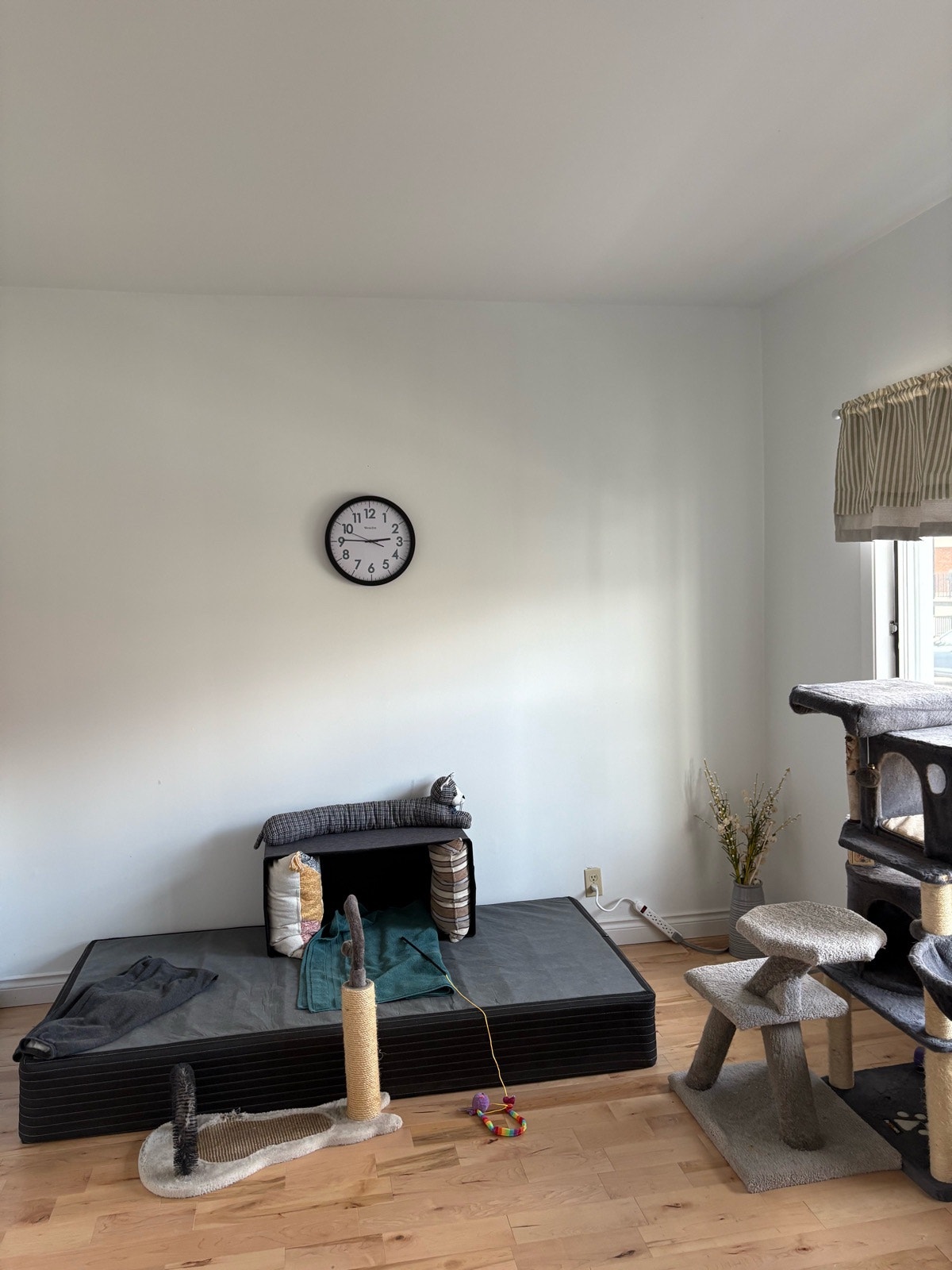 30 Av Laval — photo 2