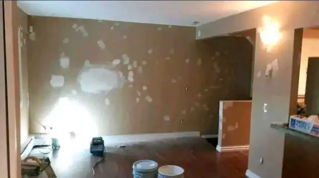 Highly Skilled Painter looking for Work (reasonable pricing)435641565074565125