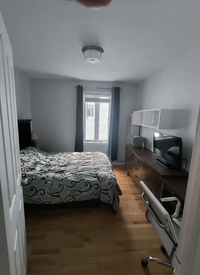 Recherche colocataire ST-Anaclet-de-Lessard in Room Rentals & Roommates in Rimouski / Bas-St-Laurent - Image 2