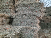 Hay Quality Hay for Sale