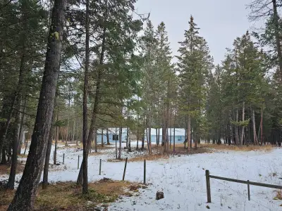 FSBO 5 acre hobby farm on a quiet cul-de-sac up gold creek. Amazing well water. 5 bed, 2.5 bath. Hou...