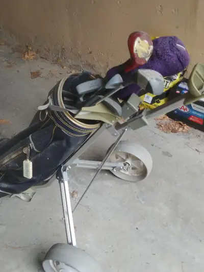 Includes Irons, drivers and putter. Nice bag and push cart.