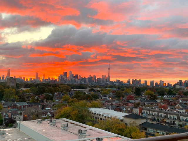 1 Bed 1 Bath Homey Condo with a Spectacular View of Toronto in Long Term Rentals in City of Toronto