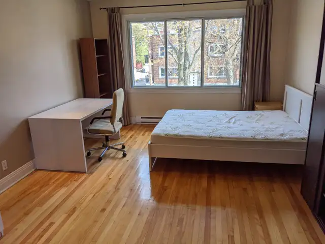 Room for rent, room for rent, coloc, UDeM, Montreal, shared accommodation62863312056321122