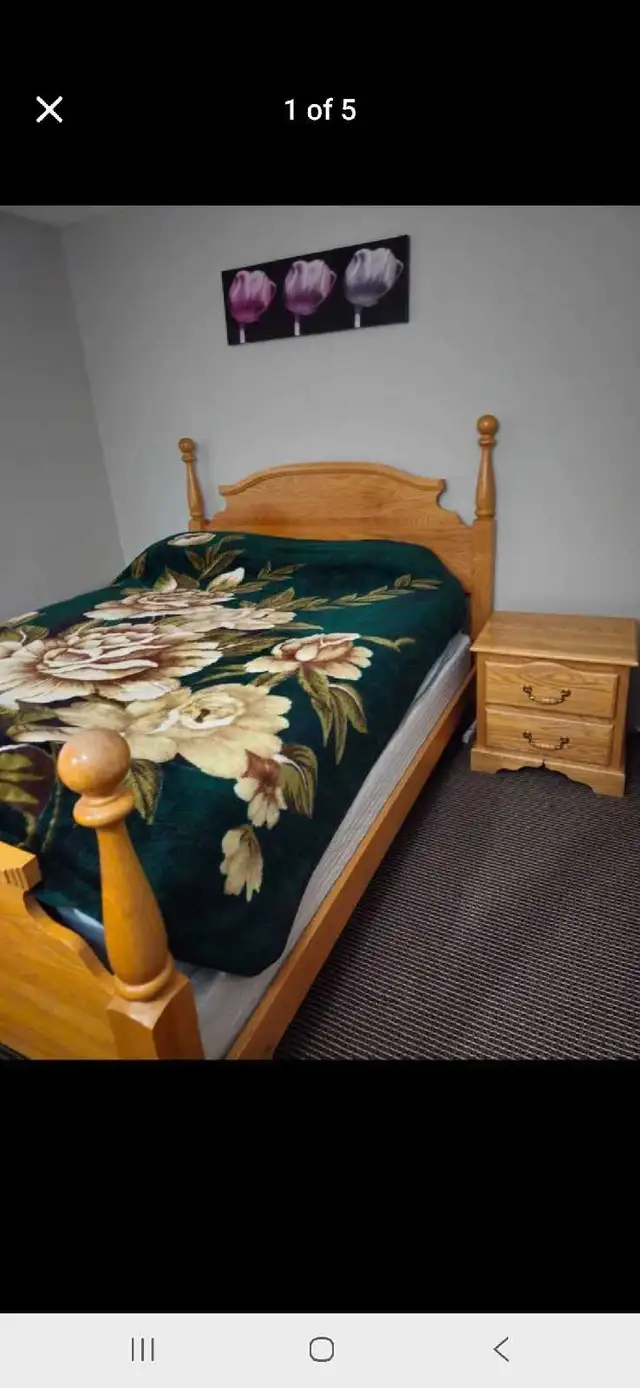 queen bedroom  in Beds & Mattresses in Delta/Surrey/Langley - Image 3