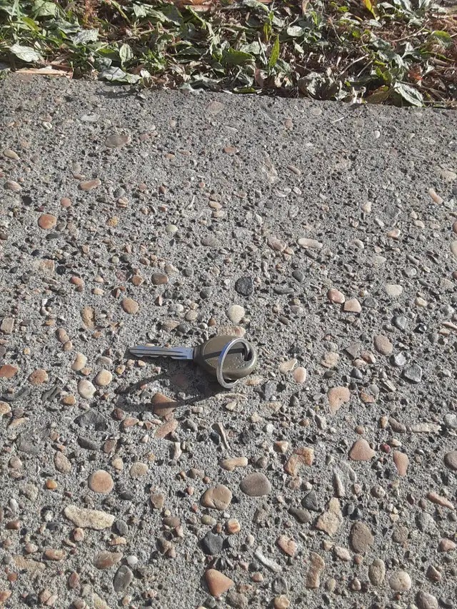 Grey key found in Legislature area