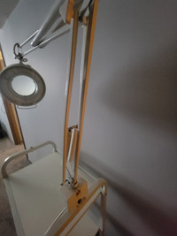 Magnifying Lamp with Trolley