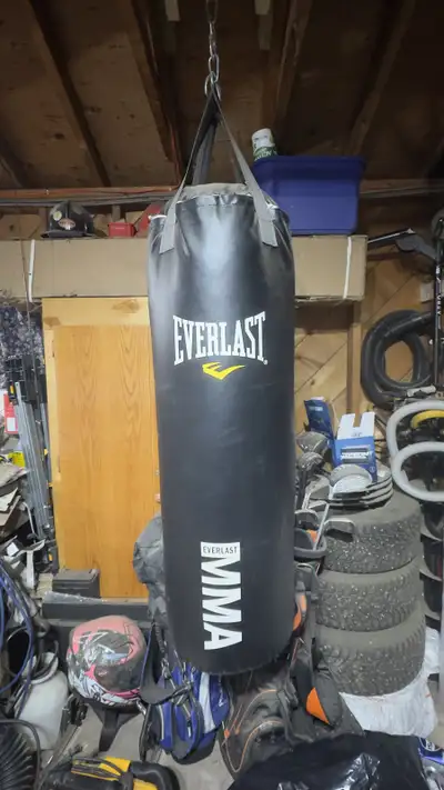 everlast punching bag , View more