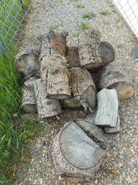 Fire Wood for Camping, BBQ or Cooking