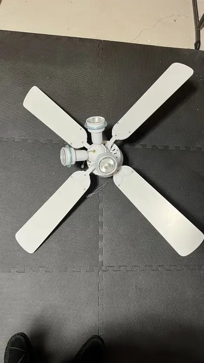 Ceiling Fan with Lights, View more