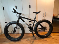 Fat Bike