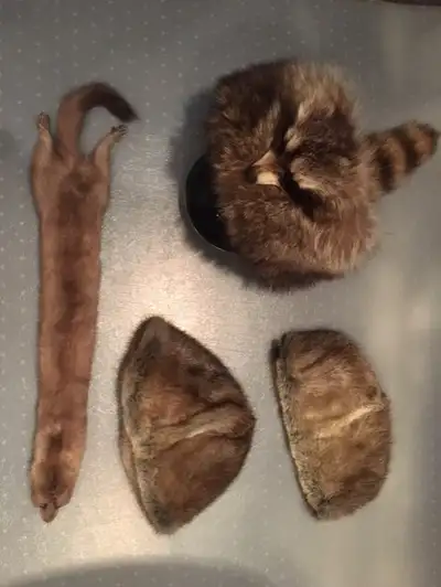 CHAPEAU DE FOURRURE, View more