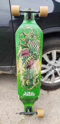LandYachtz Longboard Skateboard