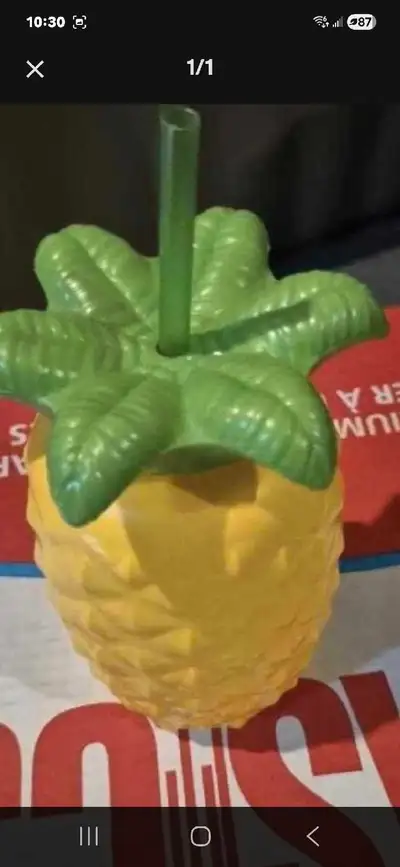 Pineapple Cup, View more