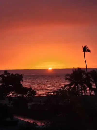 for rent 1 bedroom 1 bathroom,sleeps 4 .beach front .5 pools .restaurant on site .walking distance t...