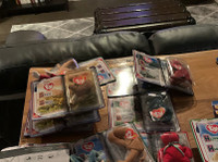 Vintage Ty Beanie Babies Collection