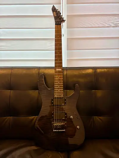 ESP - LTD  M-100FM Guitar with Zakk Wylde EMG pickups, View more