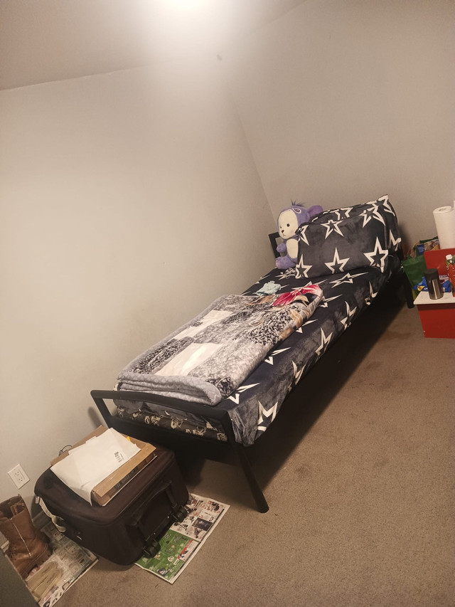 Room for rent for a girl  in Room Rentals & Roommates in Peterborough
