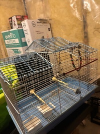 Large Bird Cage – Clean & Spacious Ottawa Ottawa / Gatineau Area Preview