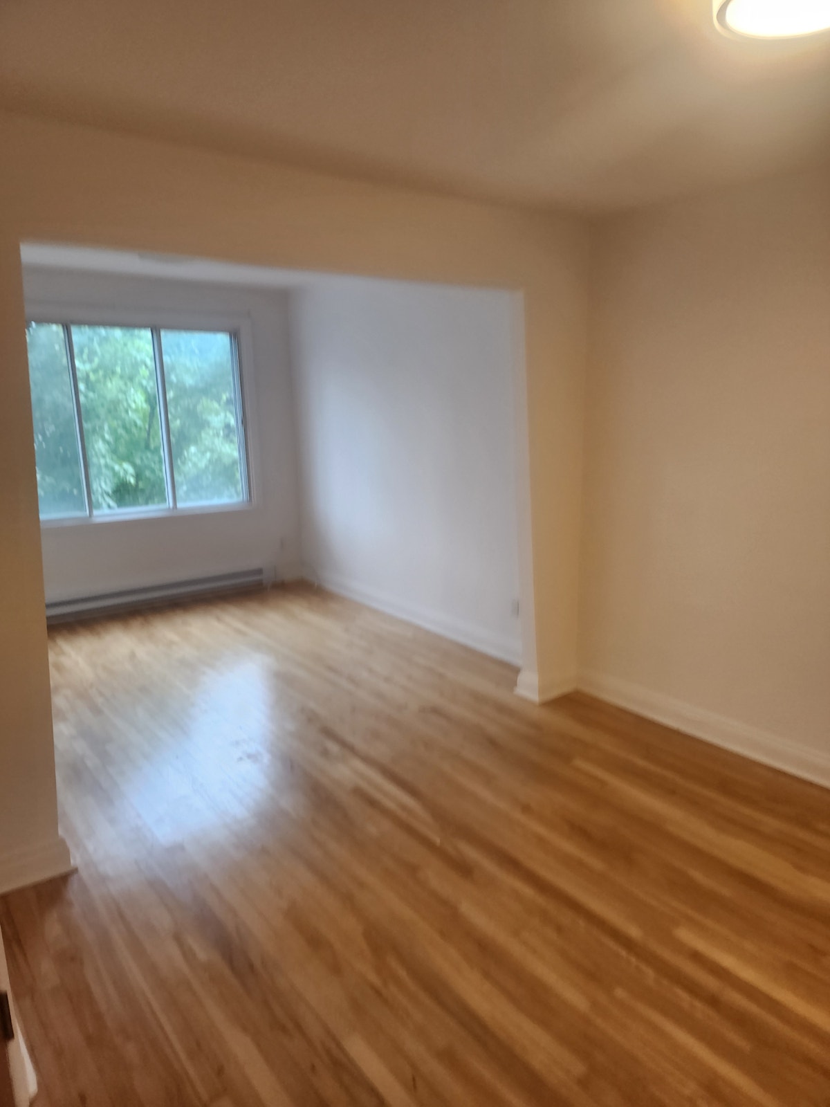 Luxurious 31/2 For Rent — photo 1