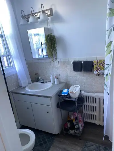 One bedroom, one bath with fire escape in the heart of the Glebe. All included except power and inte...