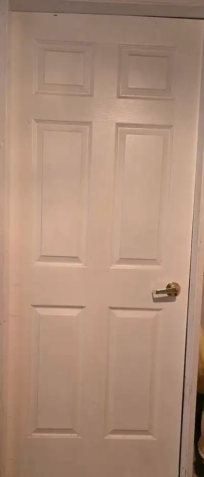 Kitchen door 34 x 81.5 inches