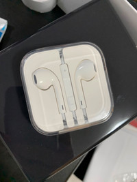 Original Apple headphones (3.5mm interface)