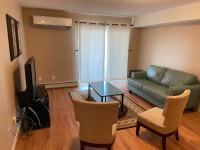 Fully furnished one bedroom condo $1900/m in University Heights