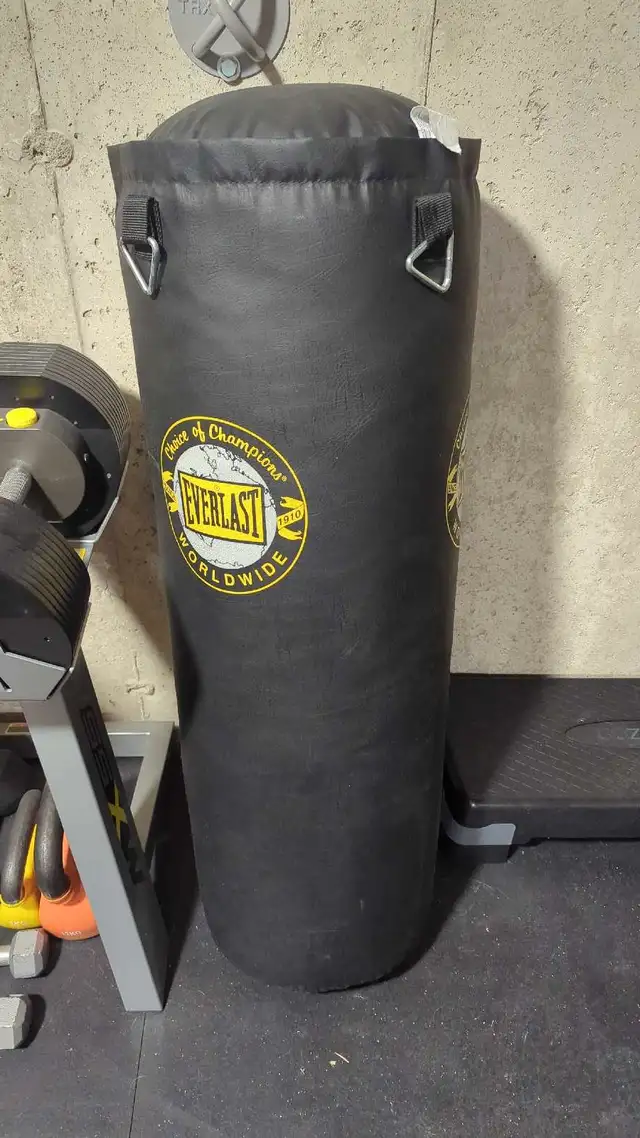 80lbs hanging punching bag  in Exercise Equipment in Kitchener / Waterloo - Image 2