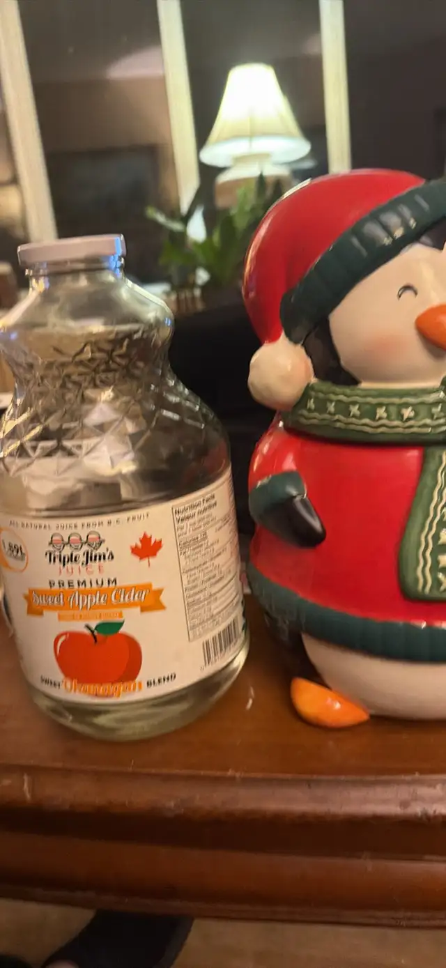 Christmas Cookie Jar Cute Penguin in Arts & Collectibles in Strathcona County - Image 5