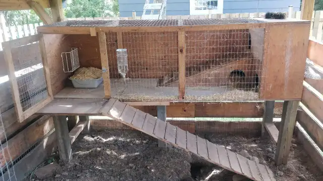 Rabbits Hutch