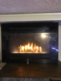 Electric fireplace and remote-$150